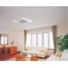 Внутренний блок Lg CT12R.NR0 - купить с монтажом в Москве и области.